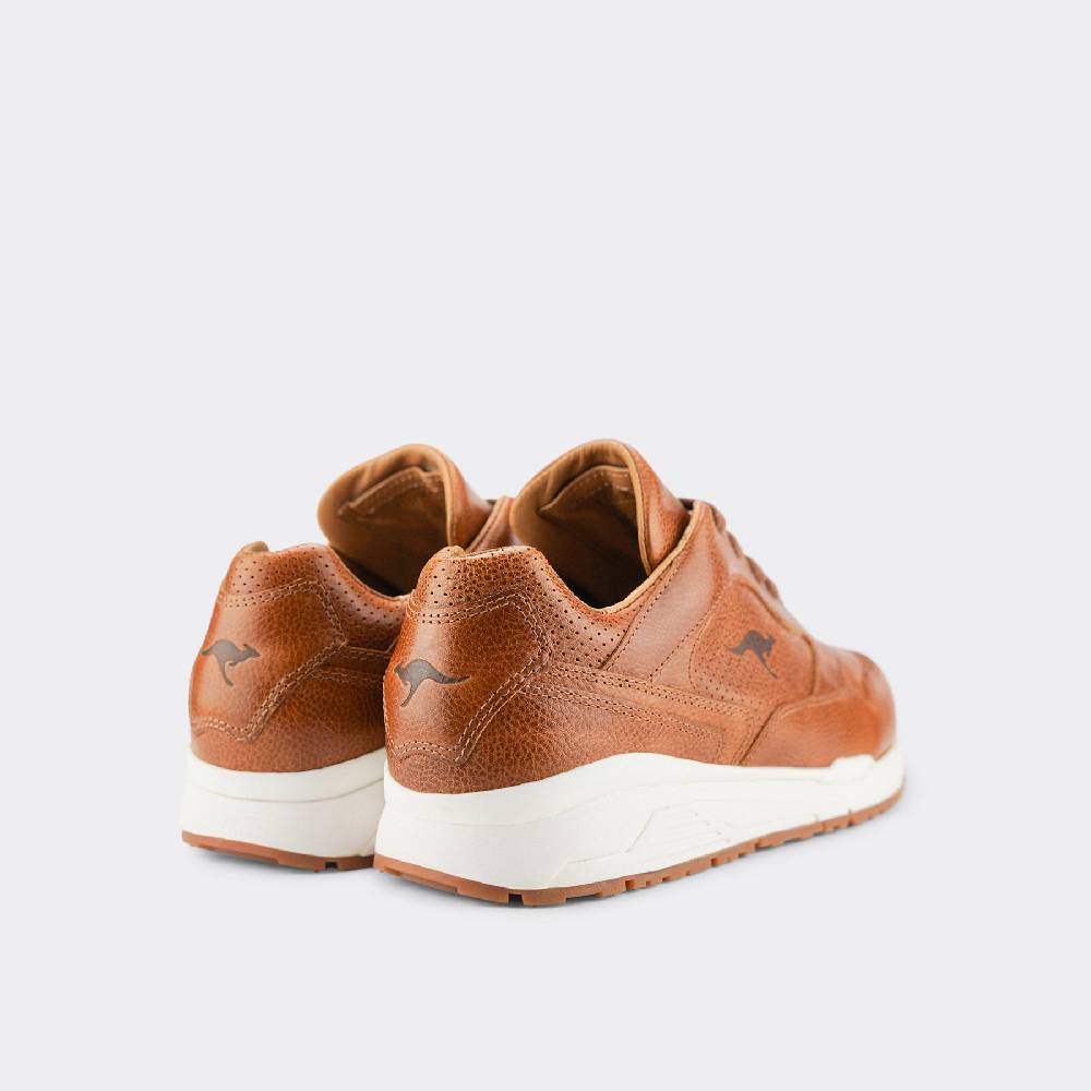Kangaroos VOLTERA ULTIMATE Jubiläumsangebot