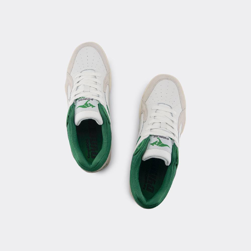 Kangaroos 3 POINTER 2.0 Letzte 3 Tage