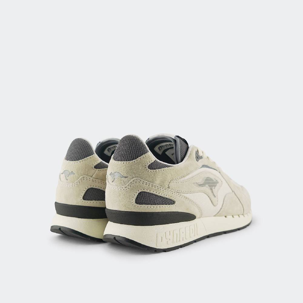 Kangaroos COIL R3 Speichern exportieren