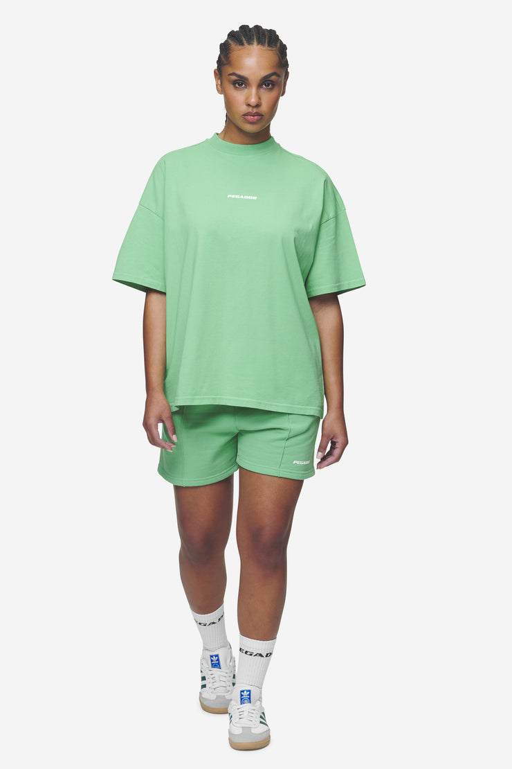 Pegador Bracy Heavy Oversized Tee Washed Peppermint Green White Gum Wochenangebot