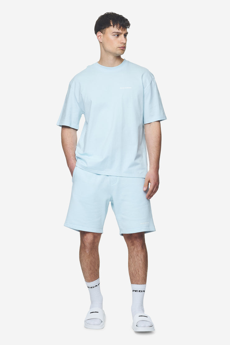 Pegador Logo Oversized Tee Washed Baby Blue White Gum Fabrikladen