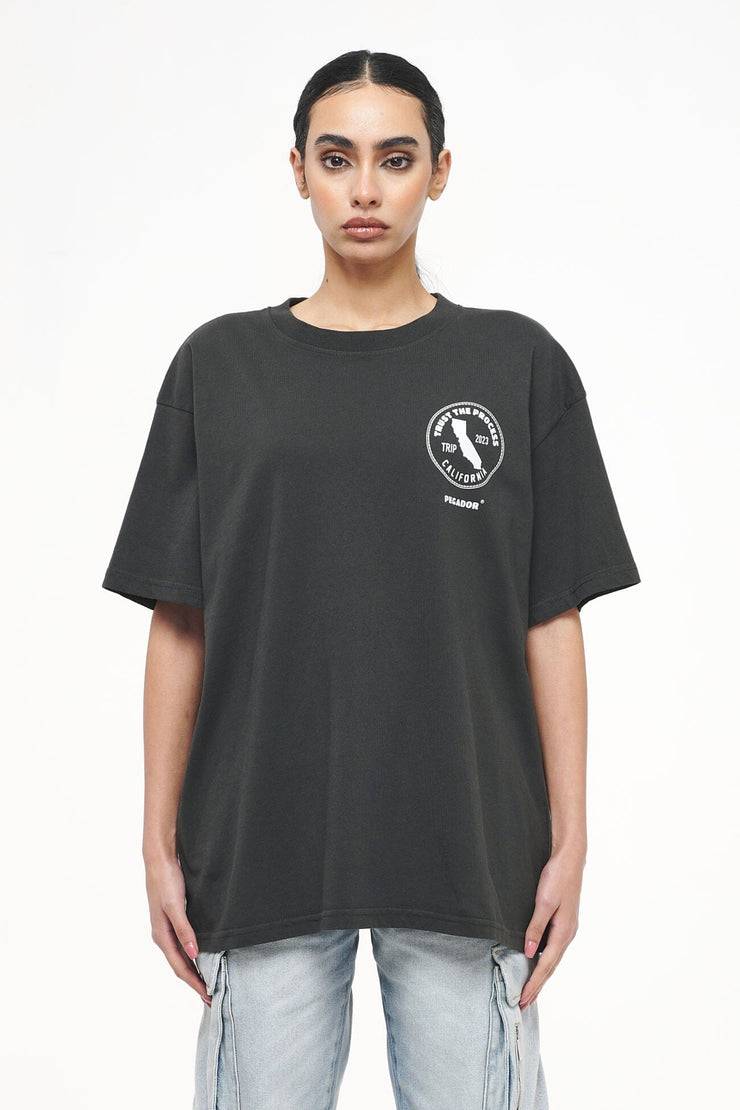 Pegador Jay Oversized Tee Vintage Washed Iron Grey Preisnachlass