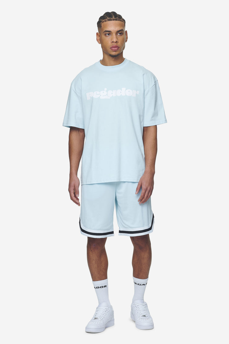 Pegador Lansing Basketball Shorts Baby Blue Muttertagsangebot