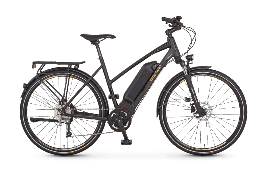 Prophete Entdecker eSport 28"