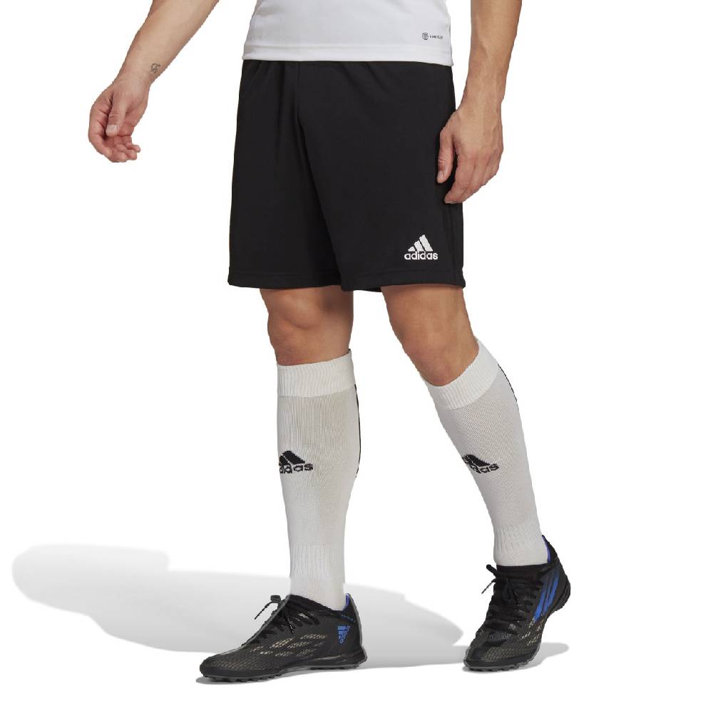 Saller adidas Entrada 22 Training Short Zeitbegrenzte Promotion