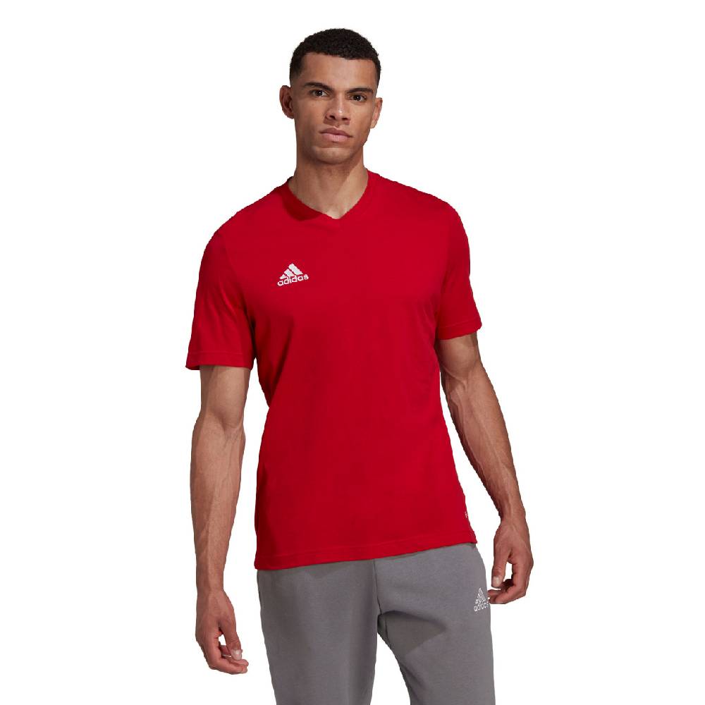 Saller adidas Entrada 22 T-Shirt Bis zu 65% Rabatt