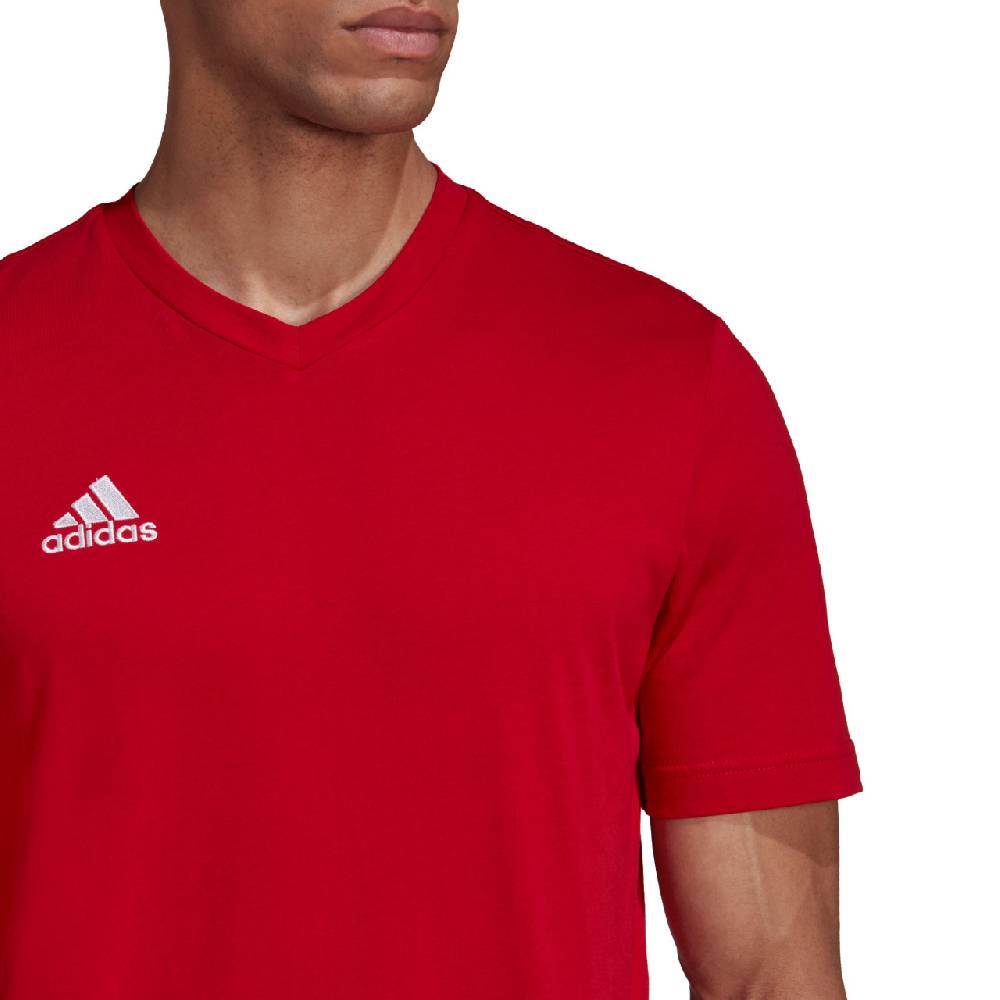 Saller adidas Entrada 22 T-Shirt Bis zu 65% Rabatt