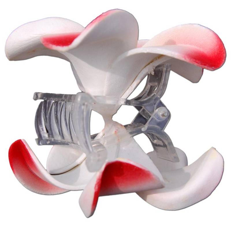 ﻿Seestern Sportswear SEESTERN Bali Hawaii Haarklammer 2 Frangipani Blüten aus Moosgummi, Haarspange Rot Blitzverkäufe