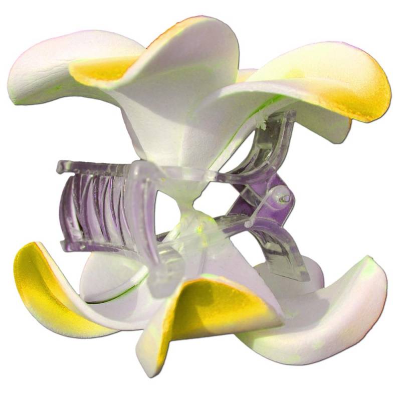Seestern Sportswear SEESTERN Bali Hawaii Haarklammer 2 Frangipani Blüten aus Moosgummi, Haarspange Gelb Fabrik Onlineshop