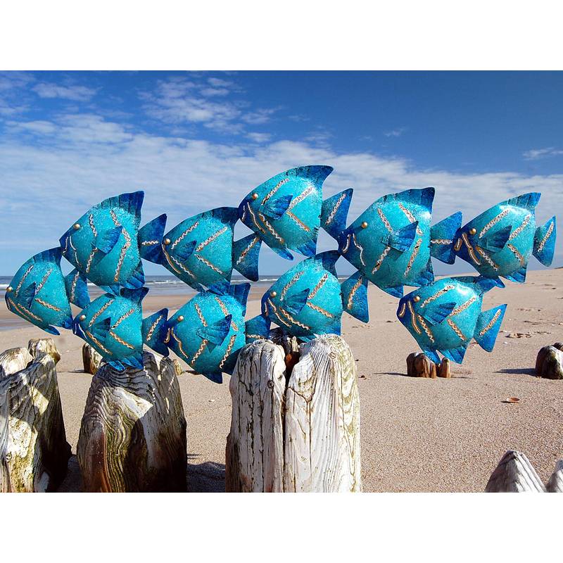 Seestern Sportswear SEESTERN Fischschwarm Metall Wand Deko Verzierung Hänge Wand Dekoration 74cm /1805.tuerkis Günstig kaufen