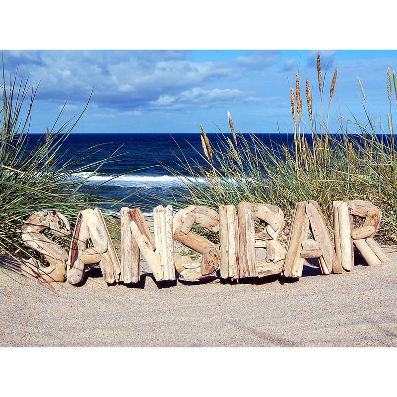 Seestern Sportswear SEESTERN Treibholz Deko m. SANSIBAR Motiv Wanddeko Driftwood Zansibar Schild Holzdeko /2346 Kostenlose Rückgabe