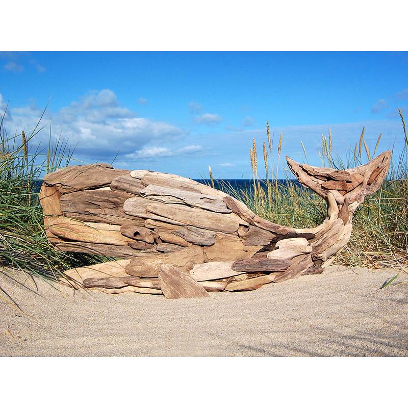 Seestern Sportswear SEESTERN Treibholz Deko m.Wal (106 cm) Motiv Wanddeko Driftwood Holzdeko /2341 Letzte 3 Tage
