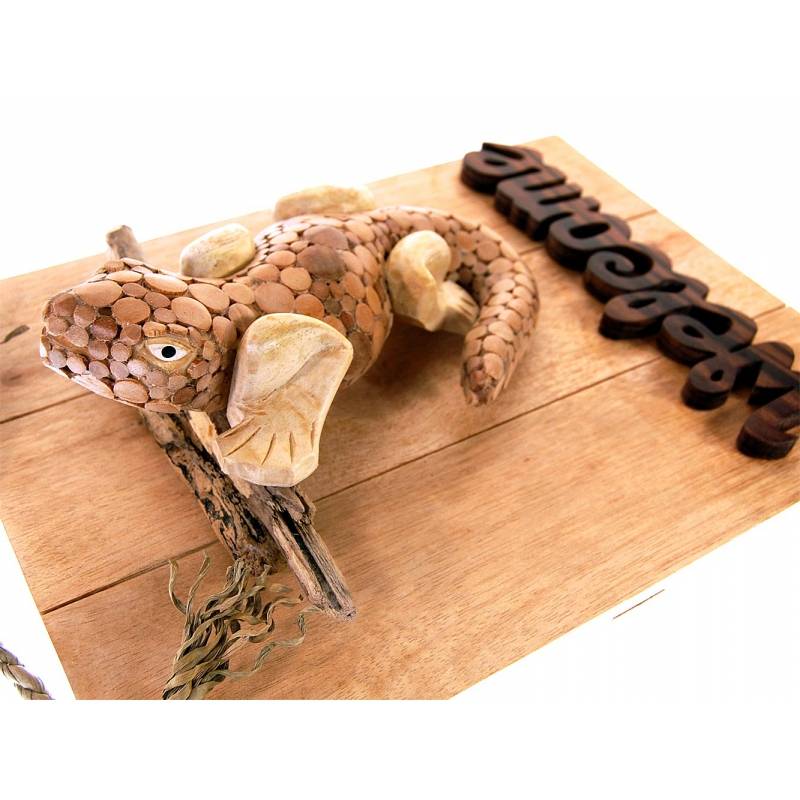 Seestern Sportswear Seestern Deko Teak Holz Haustür Tür Schild Welcome mit Gecko Motiv 40 x 30 cm /1614 Bis zu 65% Rabatt