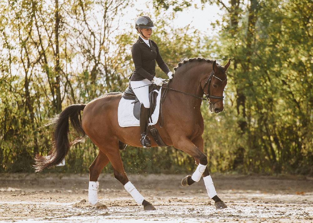 Spooks Dressage Pad Annber Bis zu 55% Rabatt