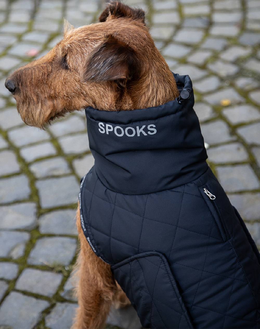 Spooks Dog Coat Oskiino