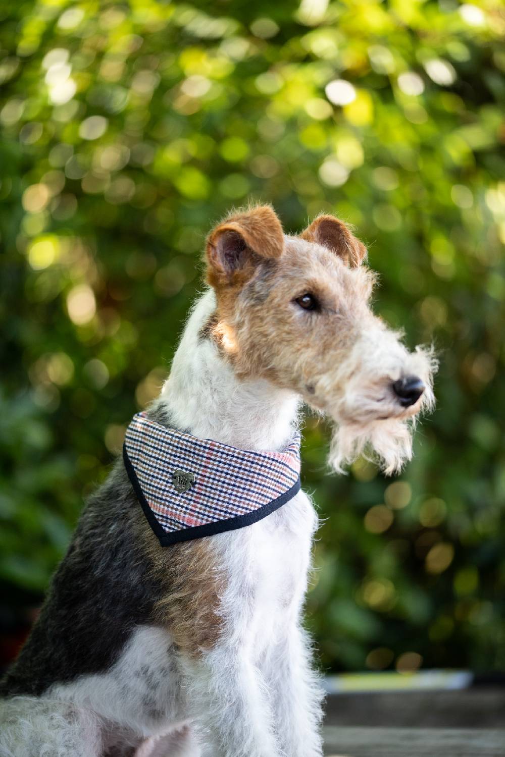 Spooks Dog Bandana Pippa Clearance-Verkauf