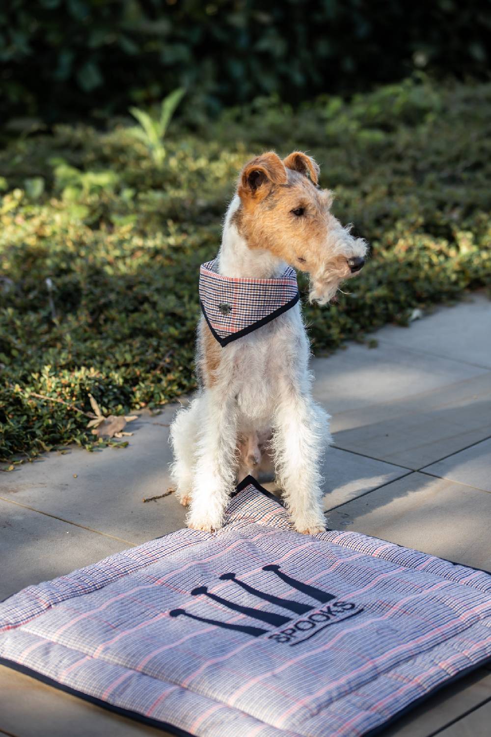 Spooks Dog Bandana Pippa Clearance-Verkauf