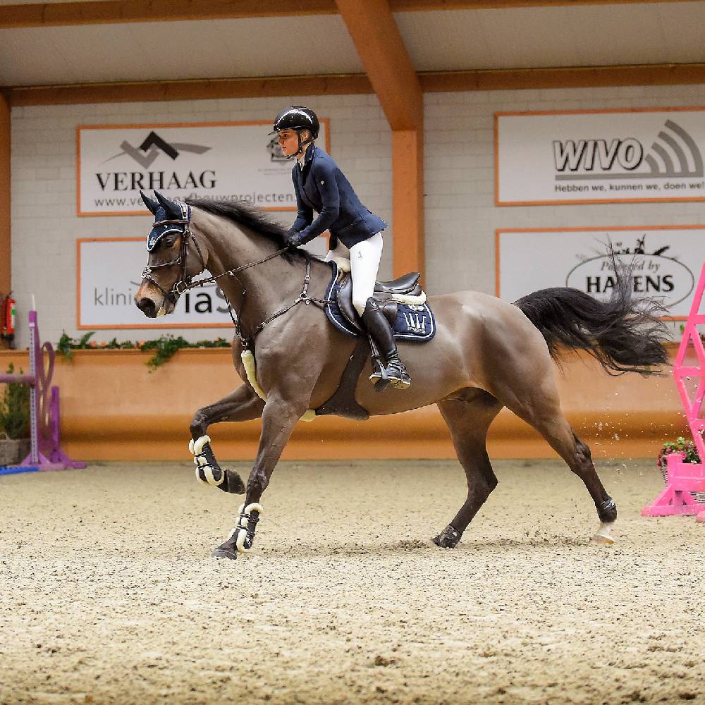 Spooks Tendon Boots Teddy 50% Rabatt für begrenzte Zeit