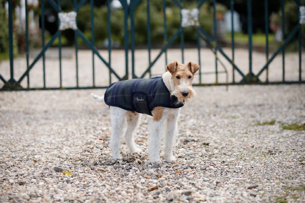 Spooks Dog Coat Olssi Neuheiten