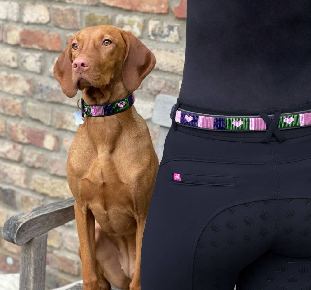 Spooks Hundehalsband Beads Räumungsverkauf