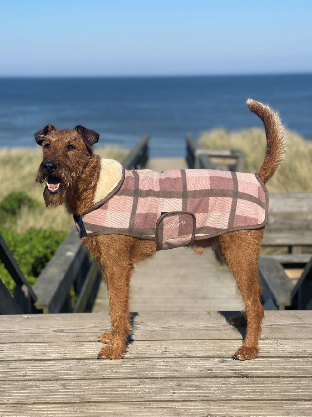 Spooks Dog Coat Olssi Kauf eins, bekomm eins gratis