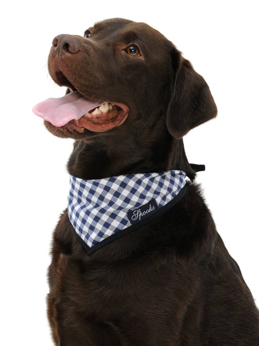 Spooks Dog Necker Chief Begrenzte Freigabe