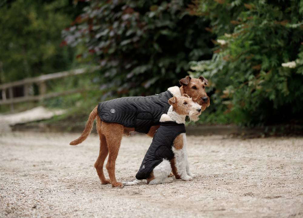 Spooks Dog Coat Classic II JETZT KAUFEN