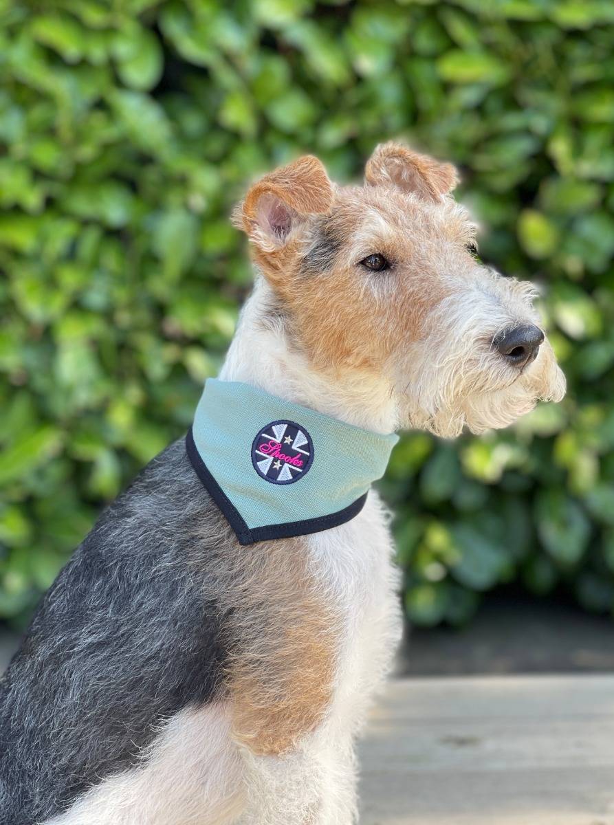 Spooks Dog Bandana