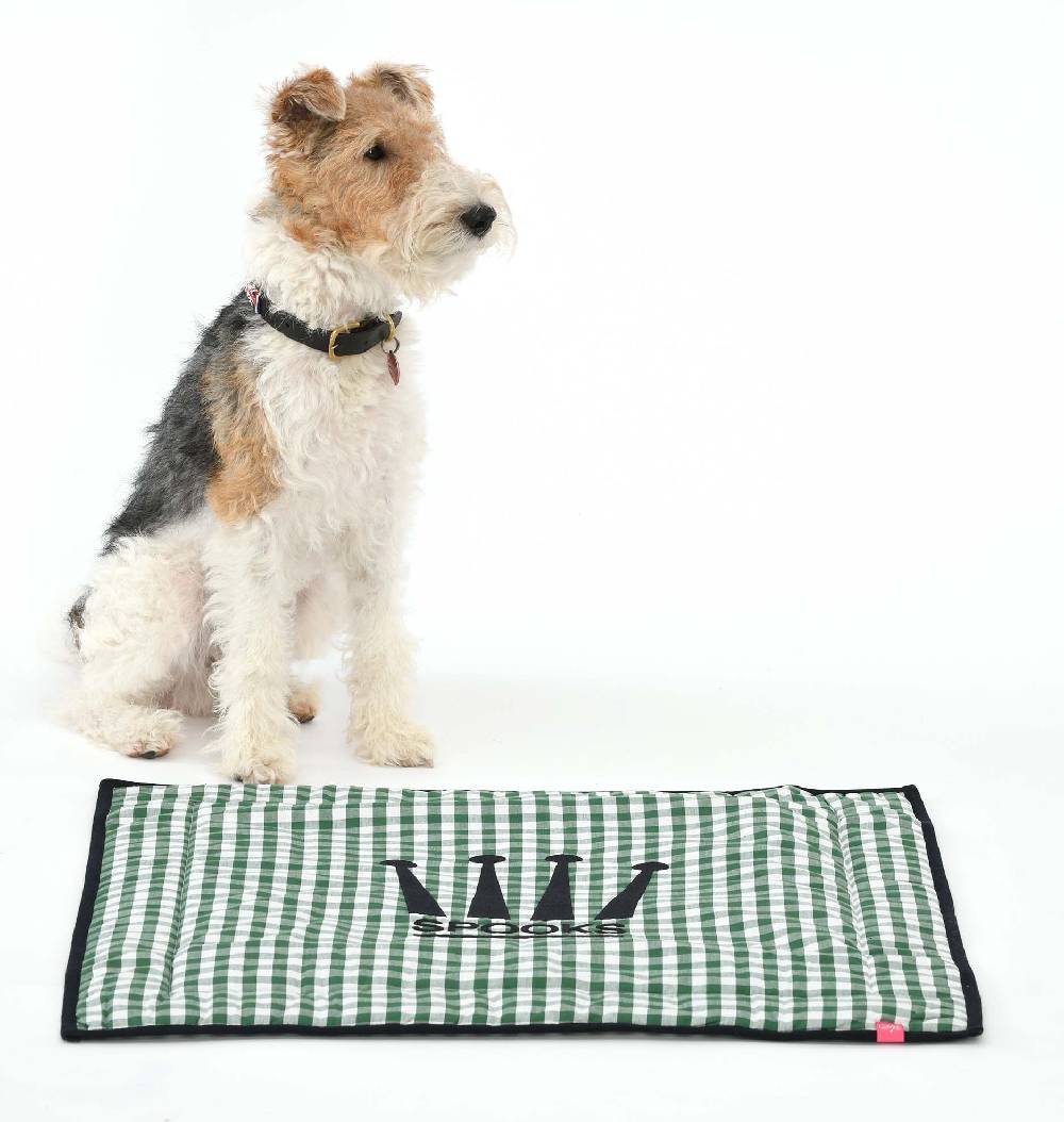 Spooks Dog Plaid 60 x 65 cm