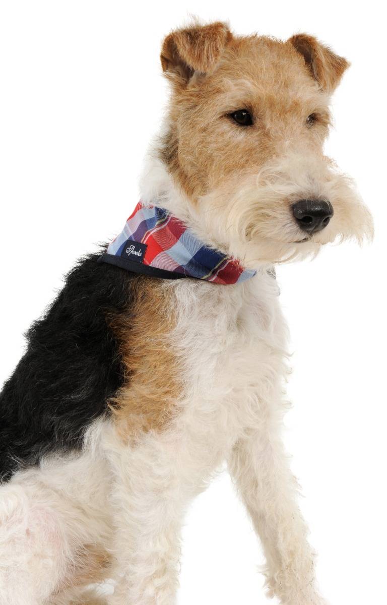 Spooks Dog Necker Chief