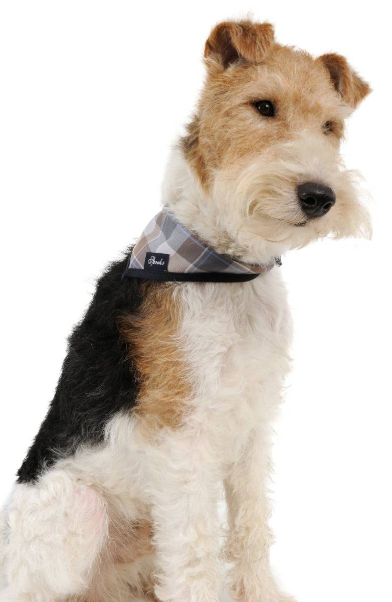 Spooks Dog Necker Chief