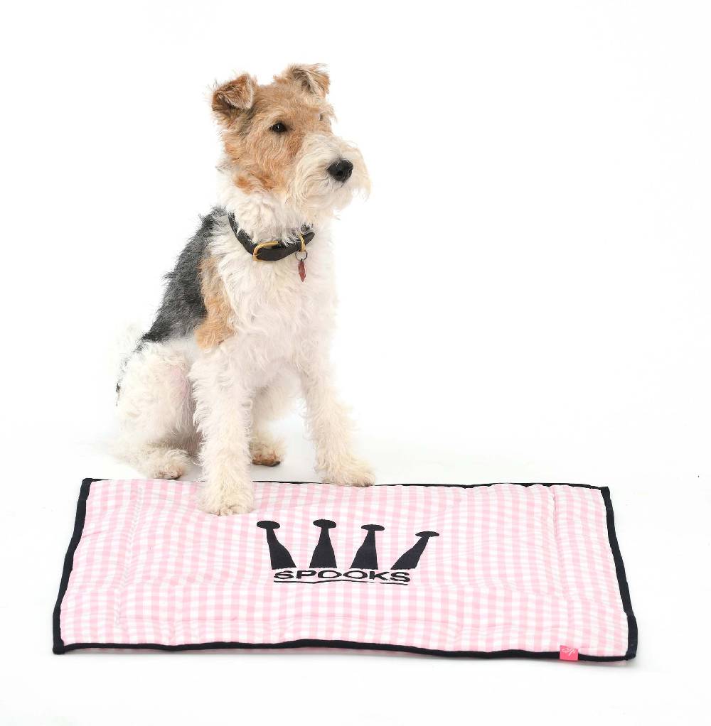Spooks Dog Plaid 60 x 65 cm