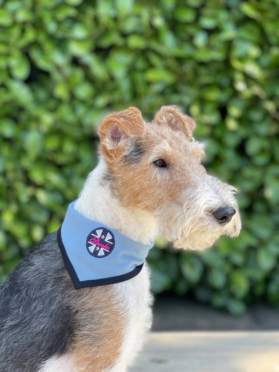 Spooks Dog Bandana