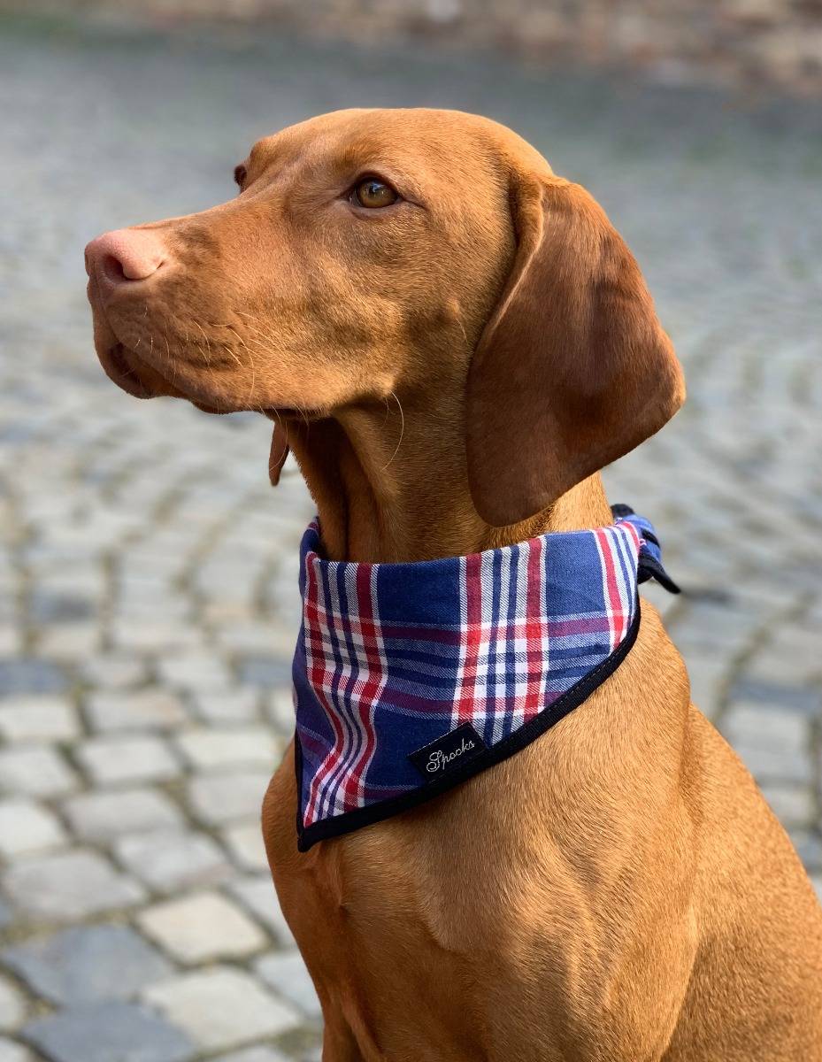 Spooks Dog Necker Chief
