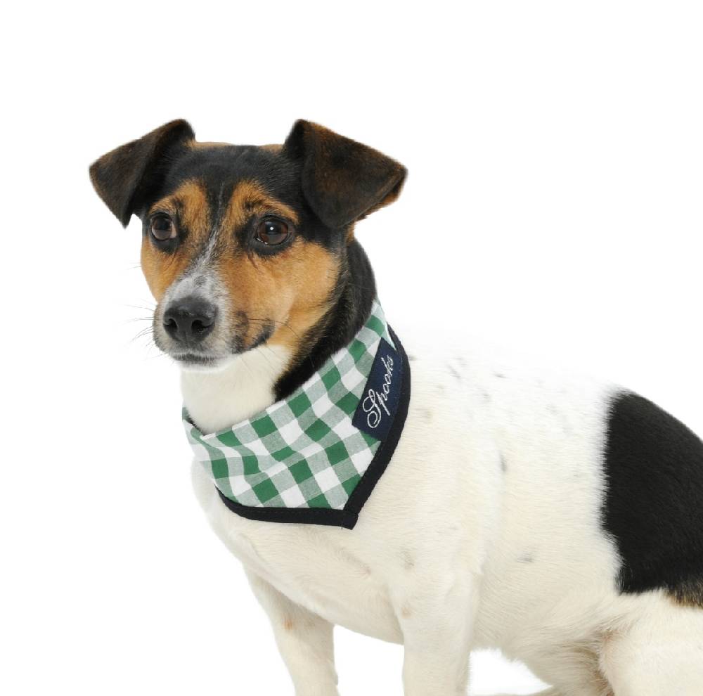 Spooks Dog Necker Chief Im Verkauf