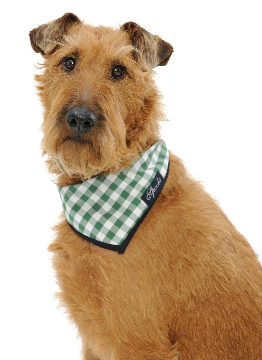 Spooks Dog Necker Chief Im Verkauf