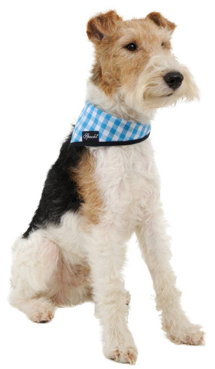 Spooks Dog Necker Chief