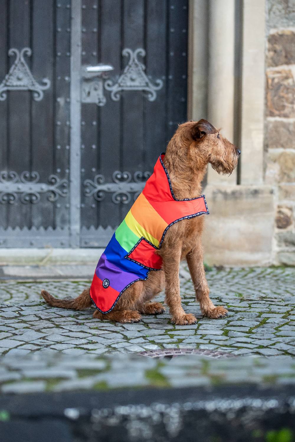 Spooks Dog Rain Coat 50% Rabatt für begrenzte Zeit