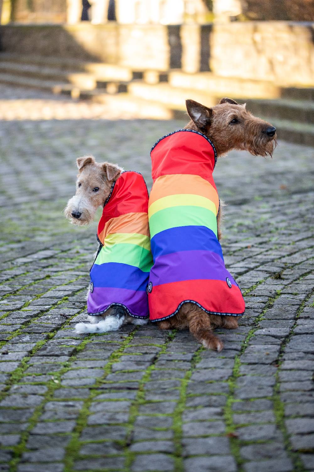 Spooks Dog Rain Coat 50% Rabatt für begrenzte Zeit