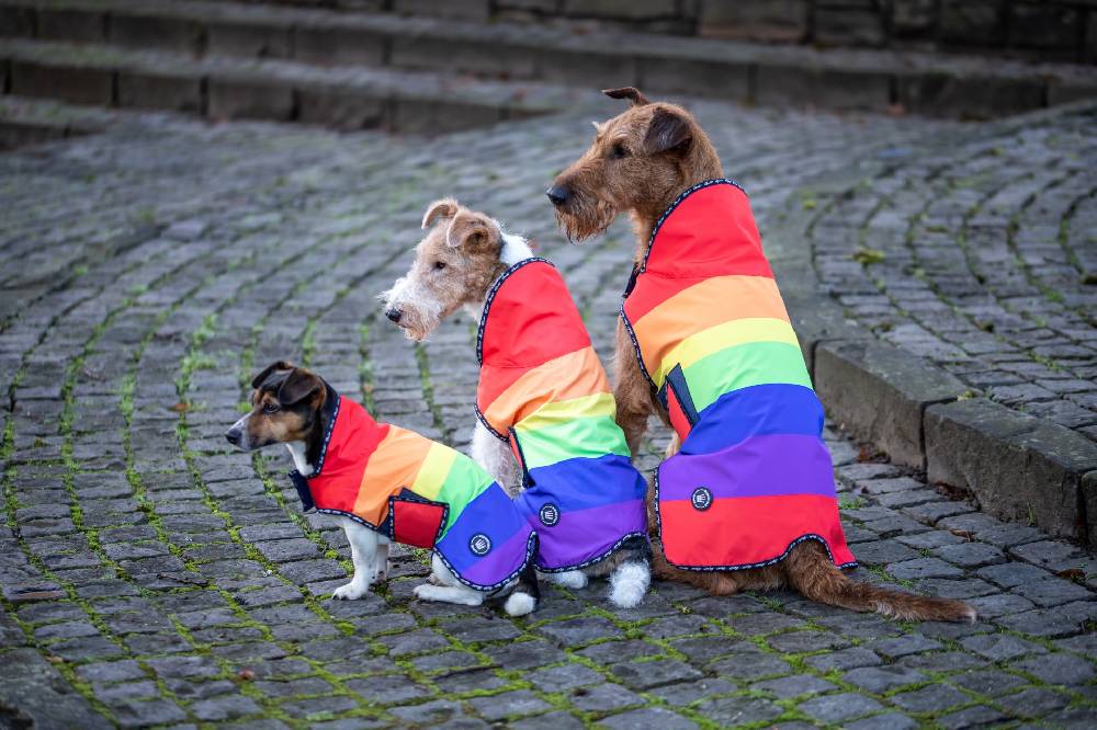 Spooks Dog Rain Coat 50% Rabatt für begrenzte Zeit
