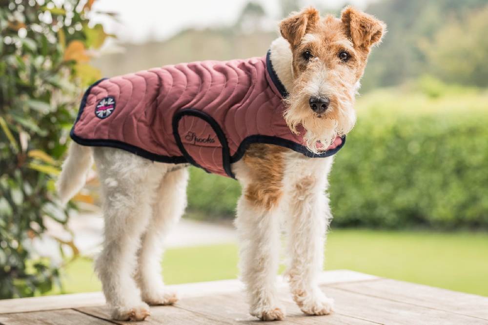 Spooks Dog Coat Classic