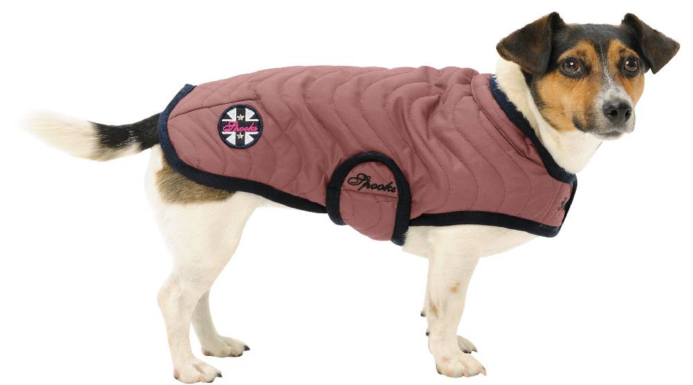 Spooks Dog Coat Classic Rabatte dieses Monats