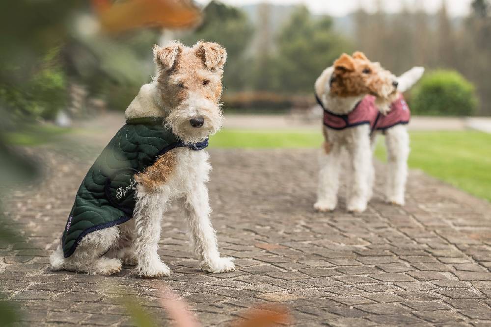Spooks Dog Coat Classic Rabatte dieses Monats