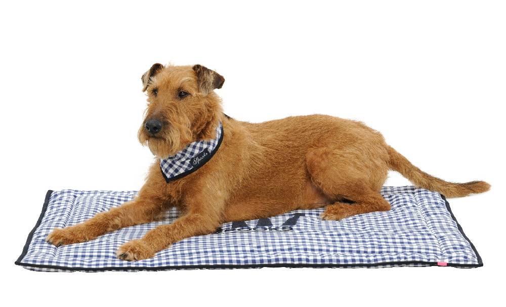 Spooks Dog Plaid 100 x 73 cm Online