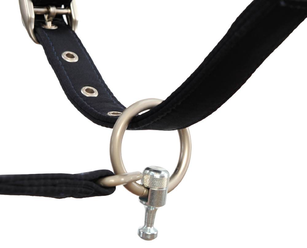 Spooks Magnetic Lead Rope by GOLEYGO Weihnachtsangebot
