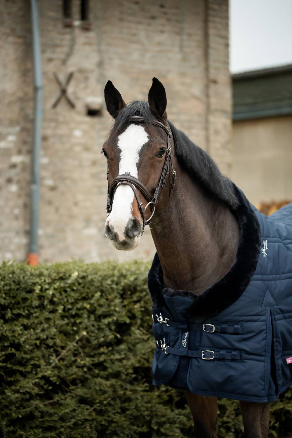 Spooks Stable Rug Cellia 300g Muttertagsangebot