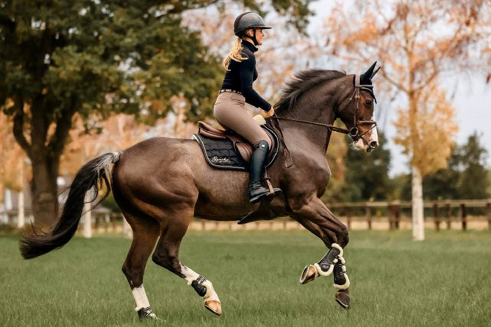 Spooks Tendon Boots Teddy Zeitbegrenzte Promotion