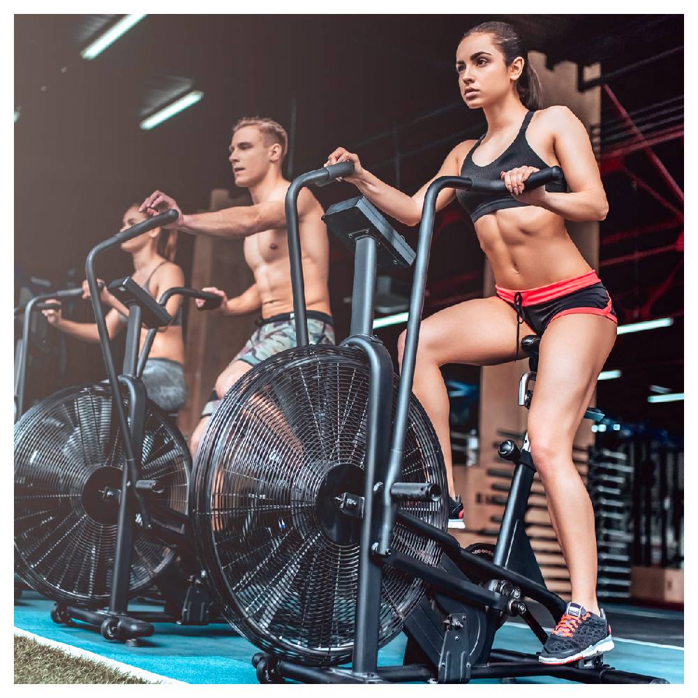 Sport Tec ASSAULT FITNESS AirBike Classic Riesige Rabatte