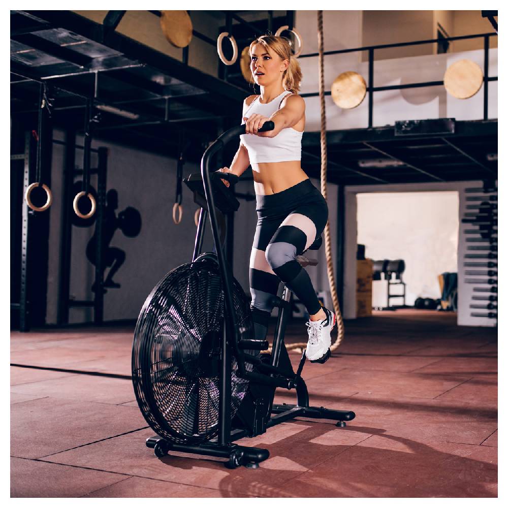 Sport Tec ASSAULT FITNESS AirBike Pro 50% Rabatt mit kostenlosem Versand