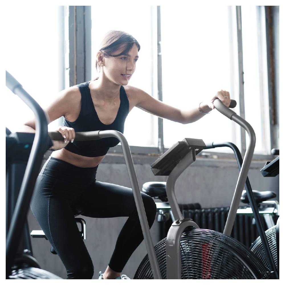 Sport Tec ASSAULT FITNESS AirBike Elite Kostenloser Versand international